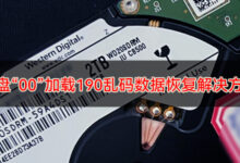 西数SMR硬盘全盘“00”加载190全盘乱码数据恢复解决方案-底层数据恢复网